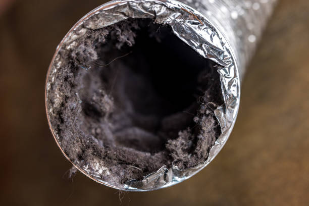 Professional Airduct Cleaning in Kingston, WA